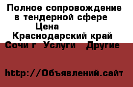 Полное сопровождение в тендерной сфере › Цена ­ 2 800 - Краснодарский край, Сочи г. Услуги » Другие   